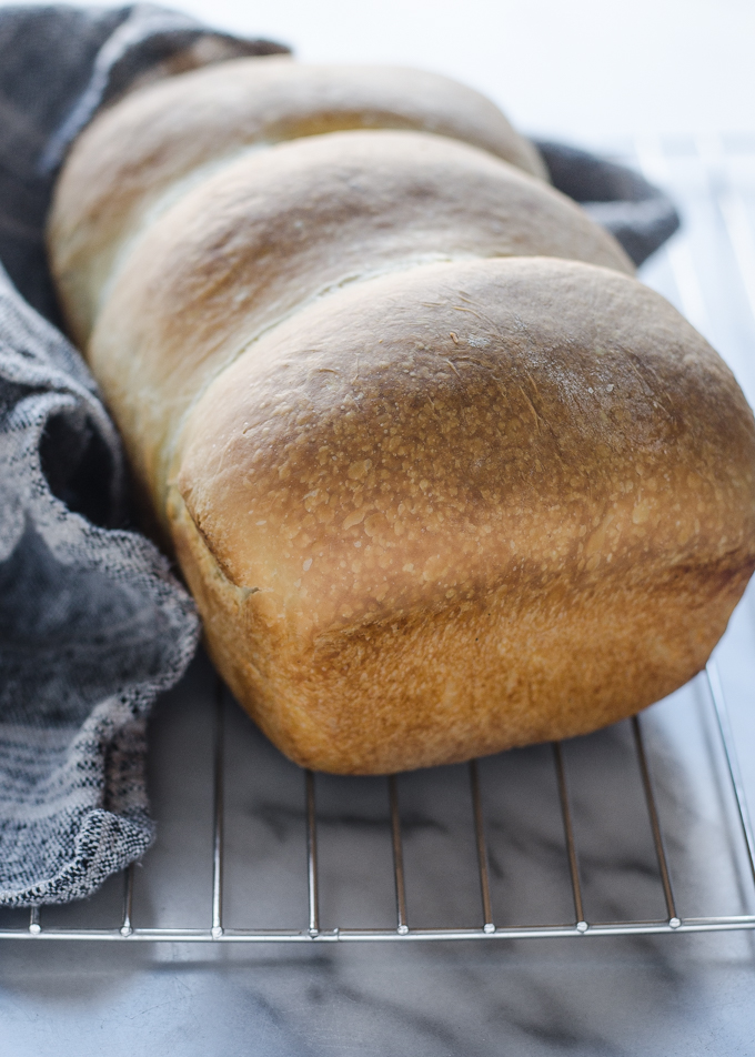 Healthy Whole Wheat Sourdough Sandwich Bread - Buttered Side Up