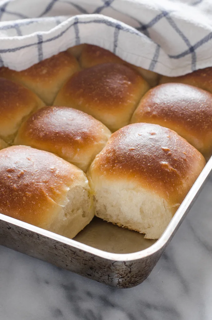 Homemade Parker House Dinner Rolls - Mountain Mama Cooks