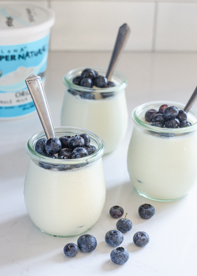 Jars of yogurt panna cotta with blueberries in them.