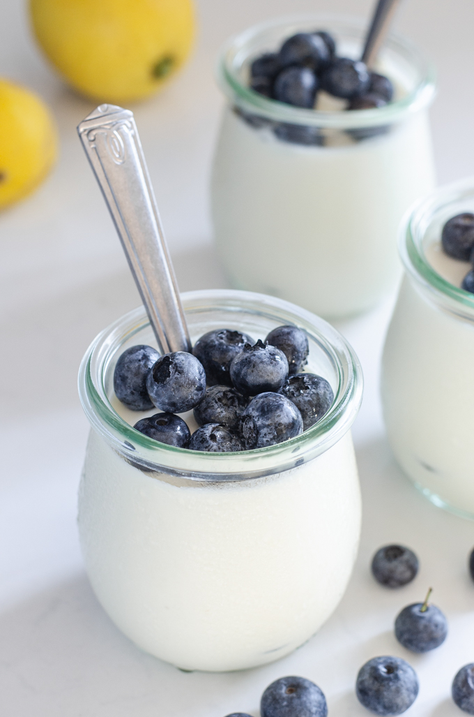 Jars of yogurt panna cotta with blueberries in them.