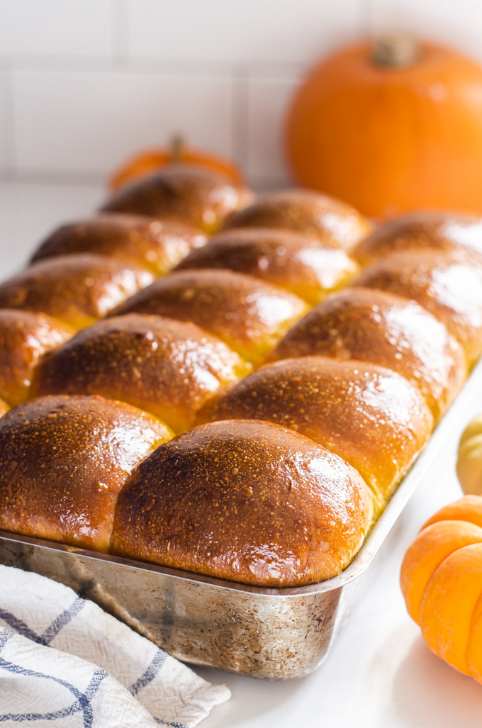 A pan of pumpkin sourdough dinner rolls brushed with butter.