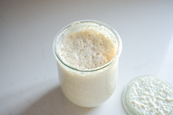 A mature sourdough starter that's been fed and is bubbly and active.