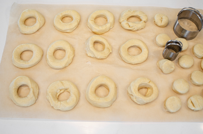 All of the sourdough donuts cut out and ready for the second rise.