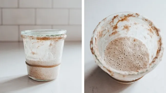 How to create a sourdough starter from scratch – Sourdough Supplies