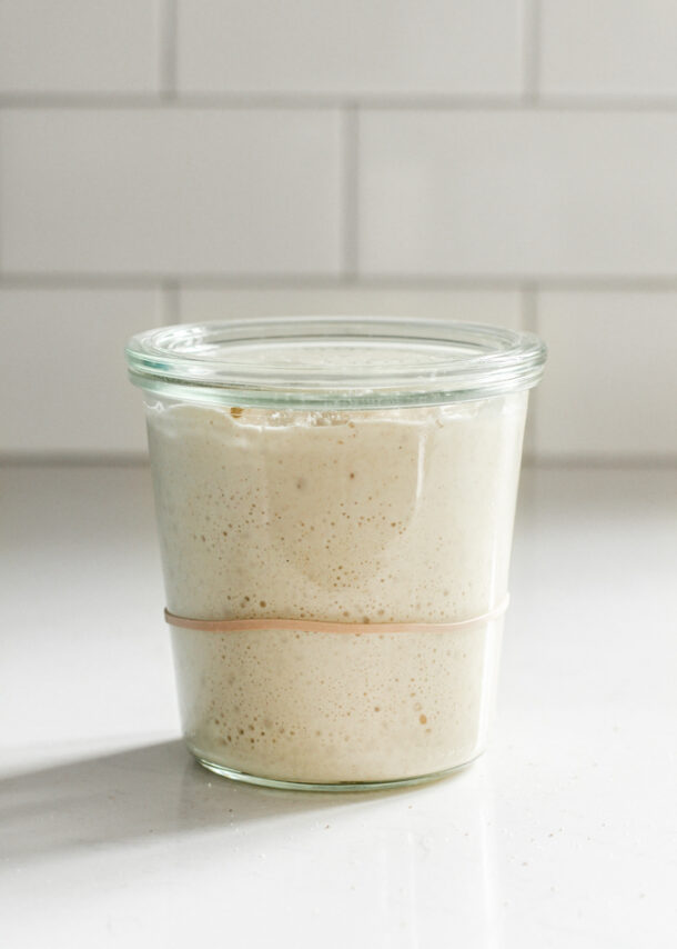 Sourdough Starter Troubleshooting - Buttered Side Up