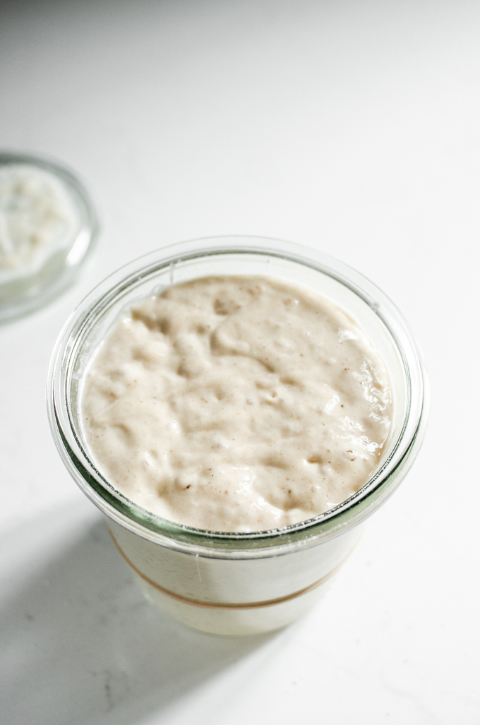 Moldy Sourdough Starter [with photos of bad sourdough starter