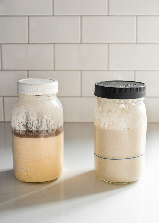 How to Troubleshoot a Sourdough Starter - Dirt and Dough