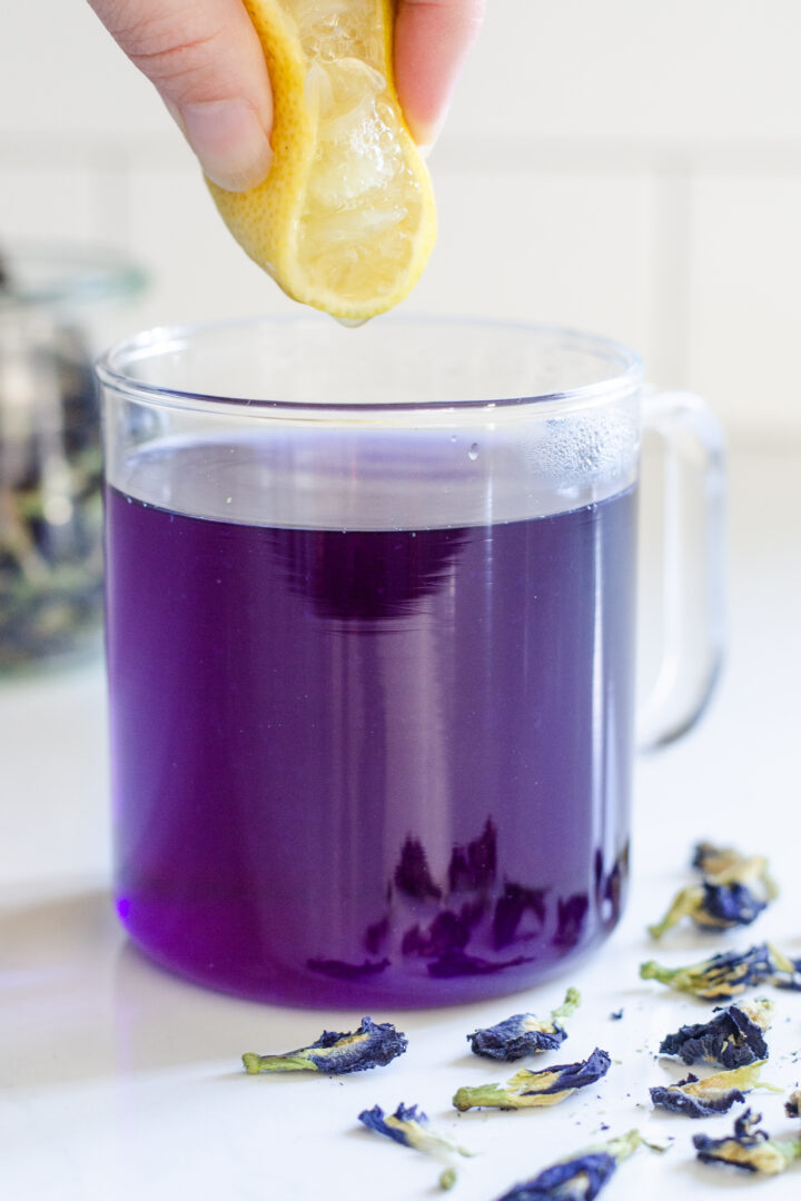 How to Make Butterfly Pea Tea Hot, Iced, or Latte!